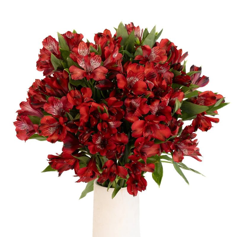 Red Alstroemeria (Bunch) - Laflora.ae