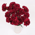 Carnation - Burgundy (20 Stems) - Laflora.ae