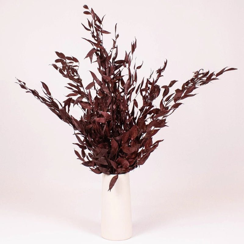 Ruscus - Burgundy Dried (Bunch) - Laflora.ae