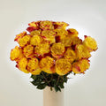 Garden Rose - Burning Love (10 Stems) - Laflora.ae