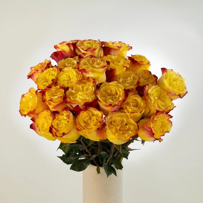 Garden Rose - Burning Love (10 Stems) - Laflora.ae