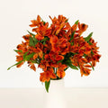 Orange Alstroemeria (Bunch) - Laflora.ae