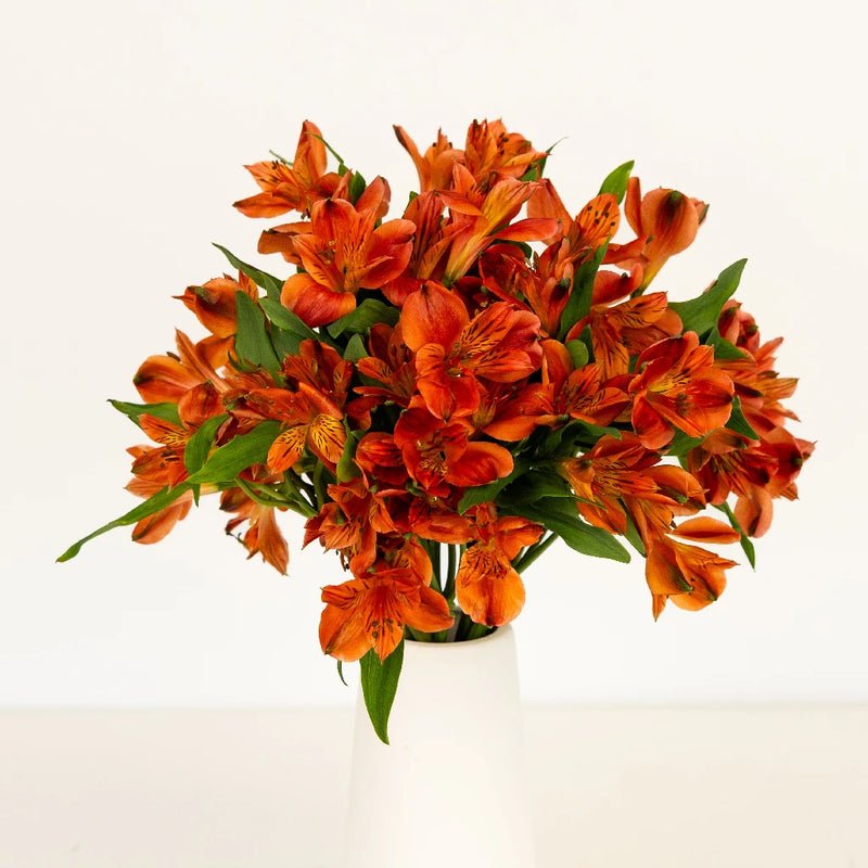 Orange Alstroemeria (Bunch) - Laflora.ae