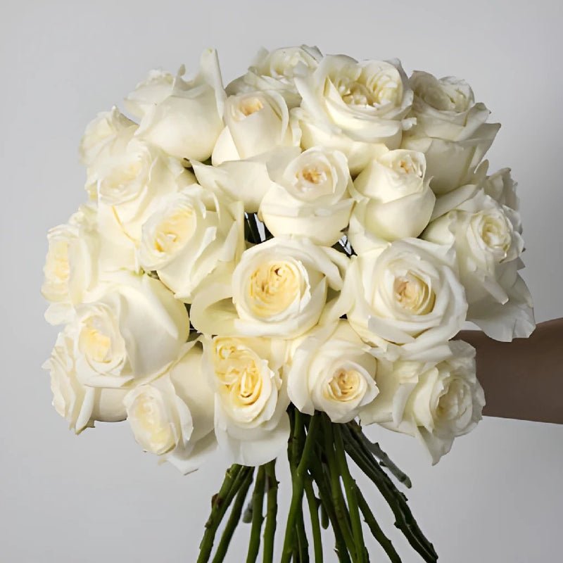 Rose - Candlelight (25 Stems) - Laflora.ae