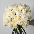 Rose - Candlelight (25 Stems) - Laflora.ae