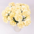 Carnations - Champagne (25 Stems) - Laflora.ae