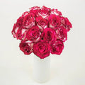 Roses - Pink Bicolour - Laflora.ae