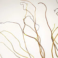 Curly Willow Branches (5 Stems) - Laflora.ae