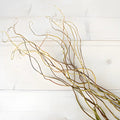 Curly Willow Branches (5 Stems) - Laflora.ae