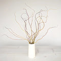 Curly Willow Branches (5 Stems) - Laflora.ae
