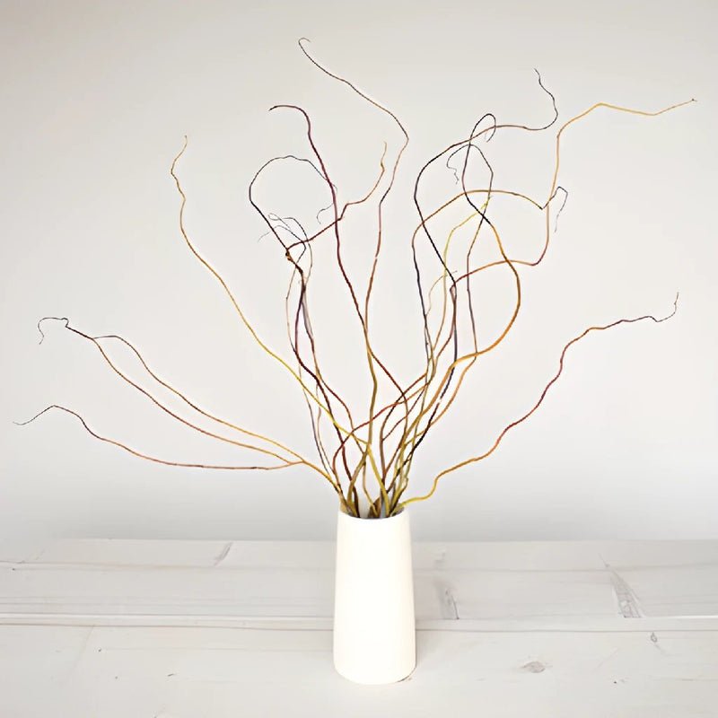 Curly Willow Branches (5 Stems) - Laflora.ae