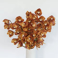Cymbidium Orchids - Brown (1 Stem) - Laflora.ae
