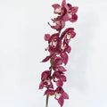 Cymbidium Orchids - Merlot Pink (1 Stem) - Laflora.ae