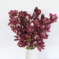 Cymbidium Orchids - Merlot Pink (1 Stem) - Laflora.ae