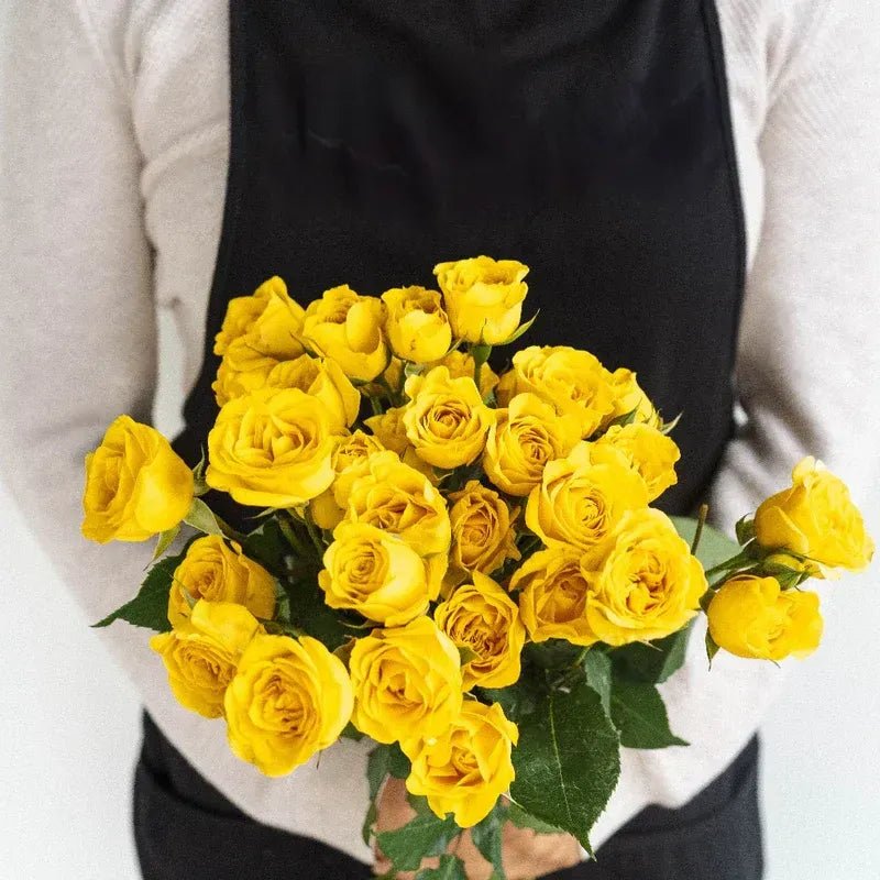 Spray Roses - Yellow (10 Stems) - Laflora.ae