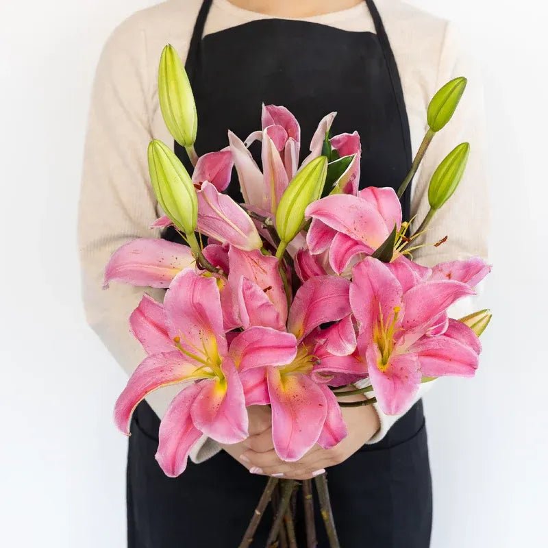 Lily - Tarango Watermelon Pink Oriental (10 Stems) - Laflora.ae