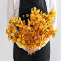 Cymbidium Orchid - Amber Orange Mini (1 Stem) - Laflora.ae