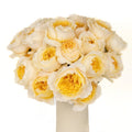 Garden Rose - David Austin Effie (12 Stems) - Laflora.ae