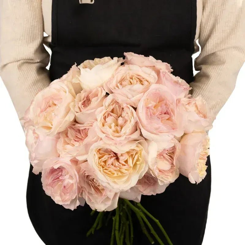 Garden Rose - David Austin Keira (12 Stems) - Laflora.ae