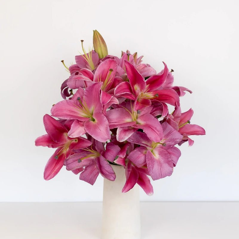 Lily - Deep Pink Oriental (10 Stems) - Laflora.ae