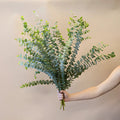 Eucalyptus - True Blue (2 Bunch) - Laflora.ae