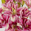 Lily - Double Bloom Watermelon (10 Stems) - Laflora.ae