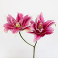 Lily - Double Bloom Watermelon (10 Stems) - Laflora.ae