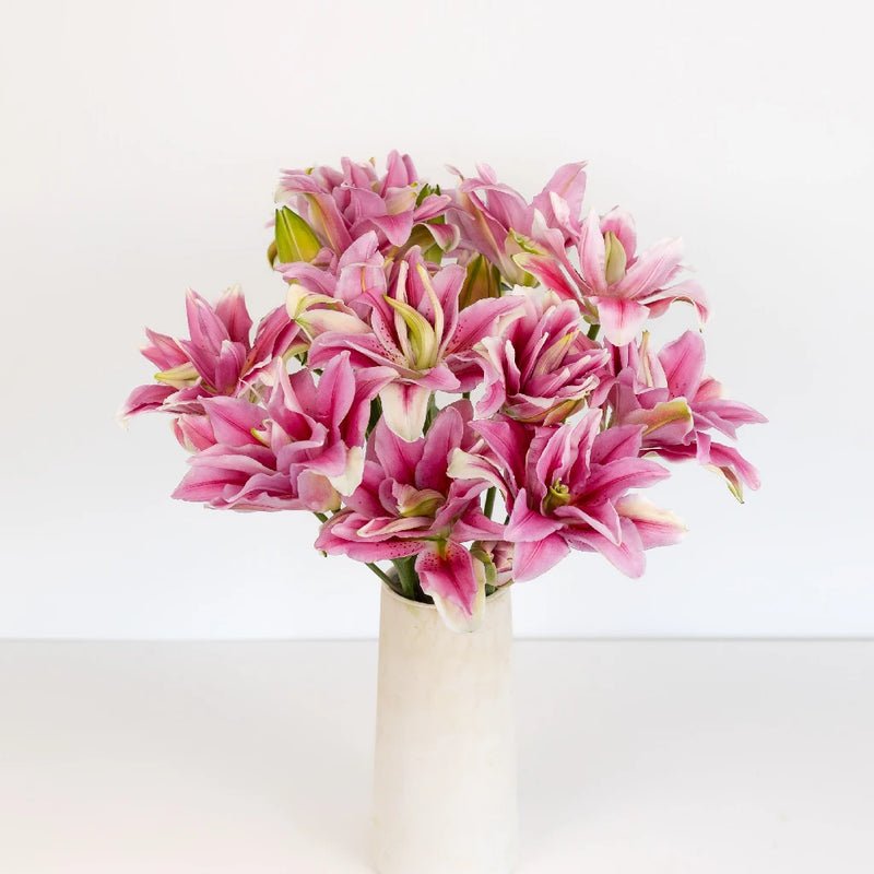 Lily - Double Bloom Watermelon (10 Stems) - Laflora.ae