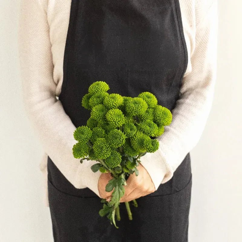 Chrysanthemum - Santini peptalk (15 Stems) - Laflora.ae