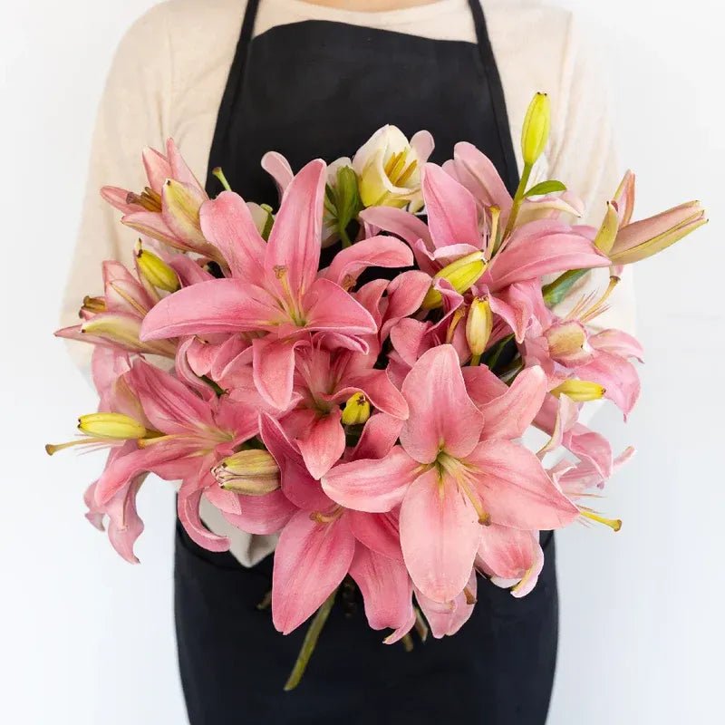 Lily - Light Pink Asiatic (10 Stems) - Laflora.ae