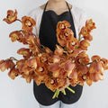 Cymbidium Orchids - Brown (1 Stem) - Laflora.ae