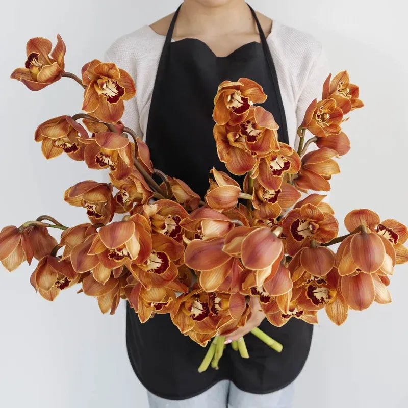 Cymbidium Orchids - Brown (1 Stem) - Laflora.ae