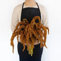 Amaranthus - Hot Biscuits (10 Stems) - Laflora.ae