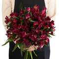 Raspberry Alstroemeria (Bunch) - Laflora.ae