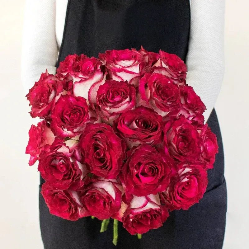 Roses - Pink Bicolour - Laflora.ae