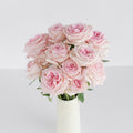 Garden Rose - Soft Pink Ohara Garden - Laflora.ae