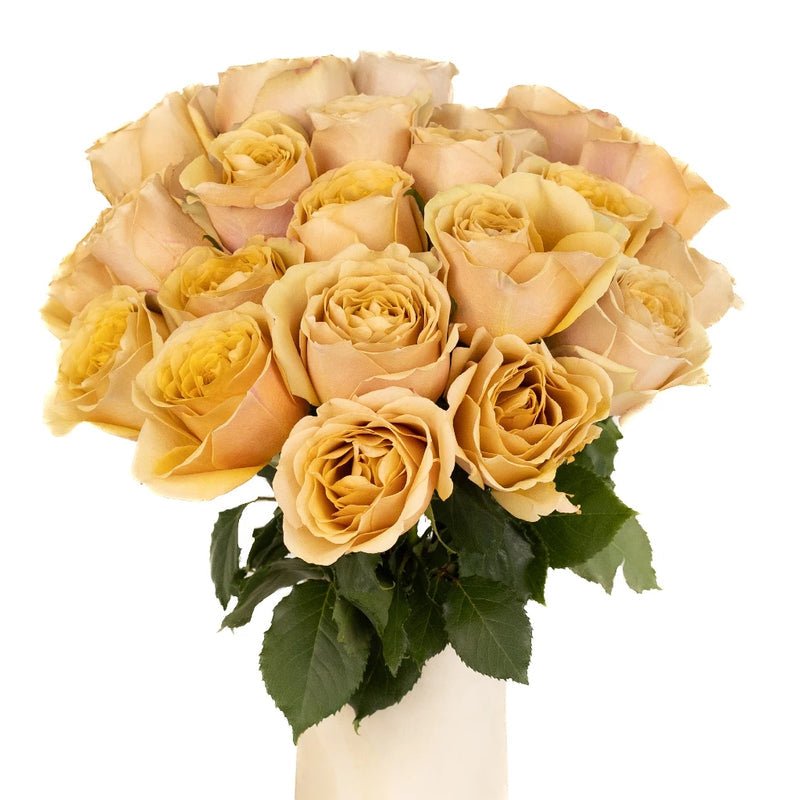 Garden Rose - Mustard (12 Stems) - Laflora.ae