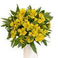 Yellow Alstroemeria (Bunch) - Laflora.ae