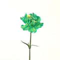 Carnation - Tinted Green (25 Stems) - Laflora.ae