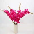 Gladiolus - Hot Pink (10 Stems) - Laflora.ae