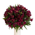 Raspberry Alstroemeria (Bunch) - Laflora.ae