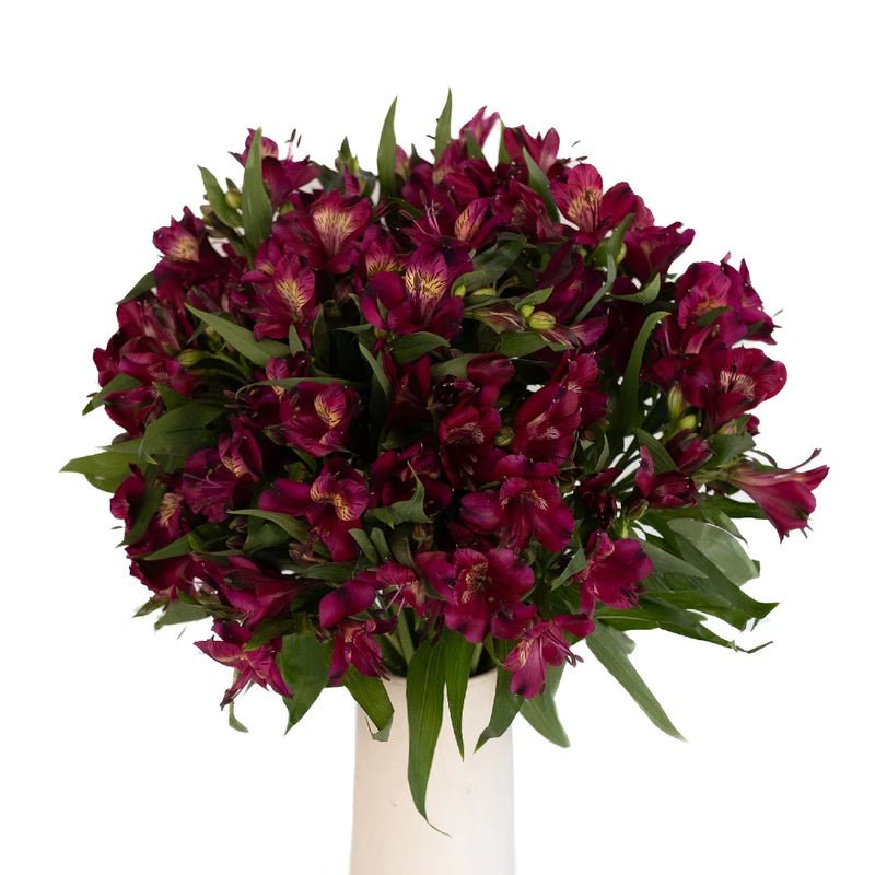 Raspberry Alstroemeria (Bunch) - Laflora.ae