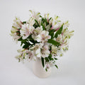 Ivory White Alstroemeria (Bunch) - Laflora.ae