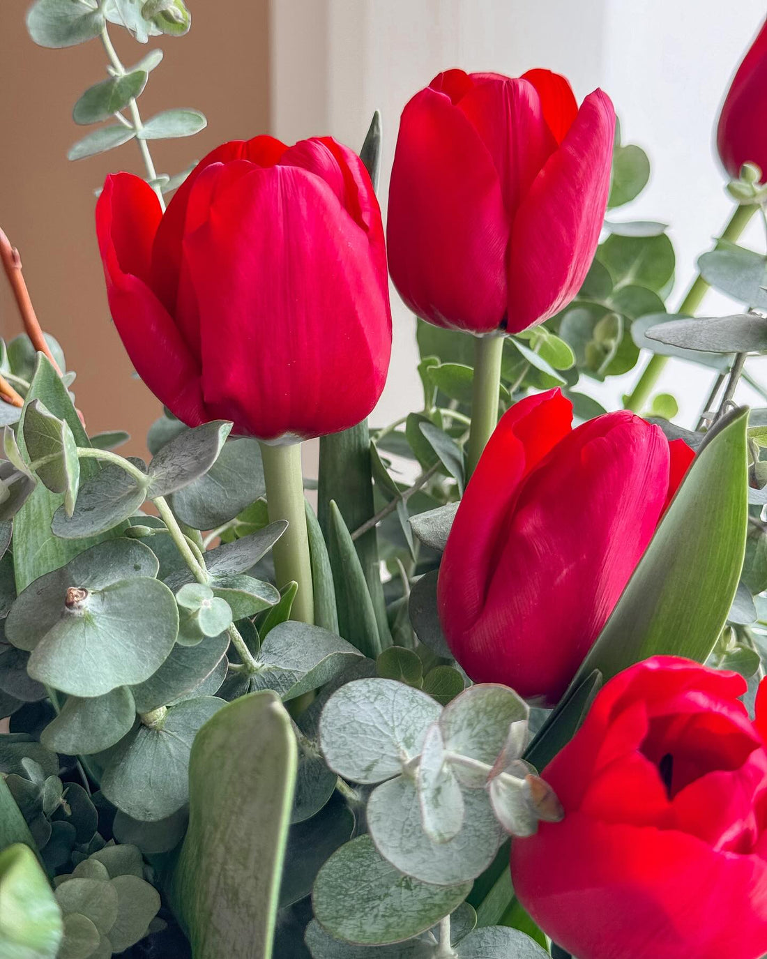 Red Tulip Flowers Elegance - Laflora.ae