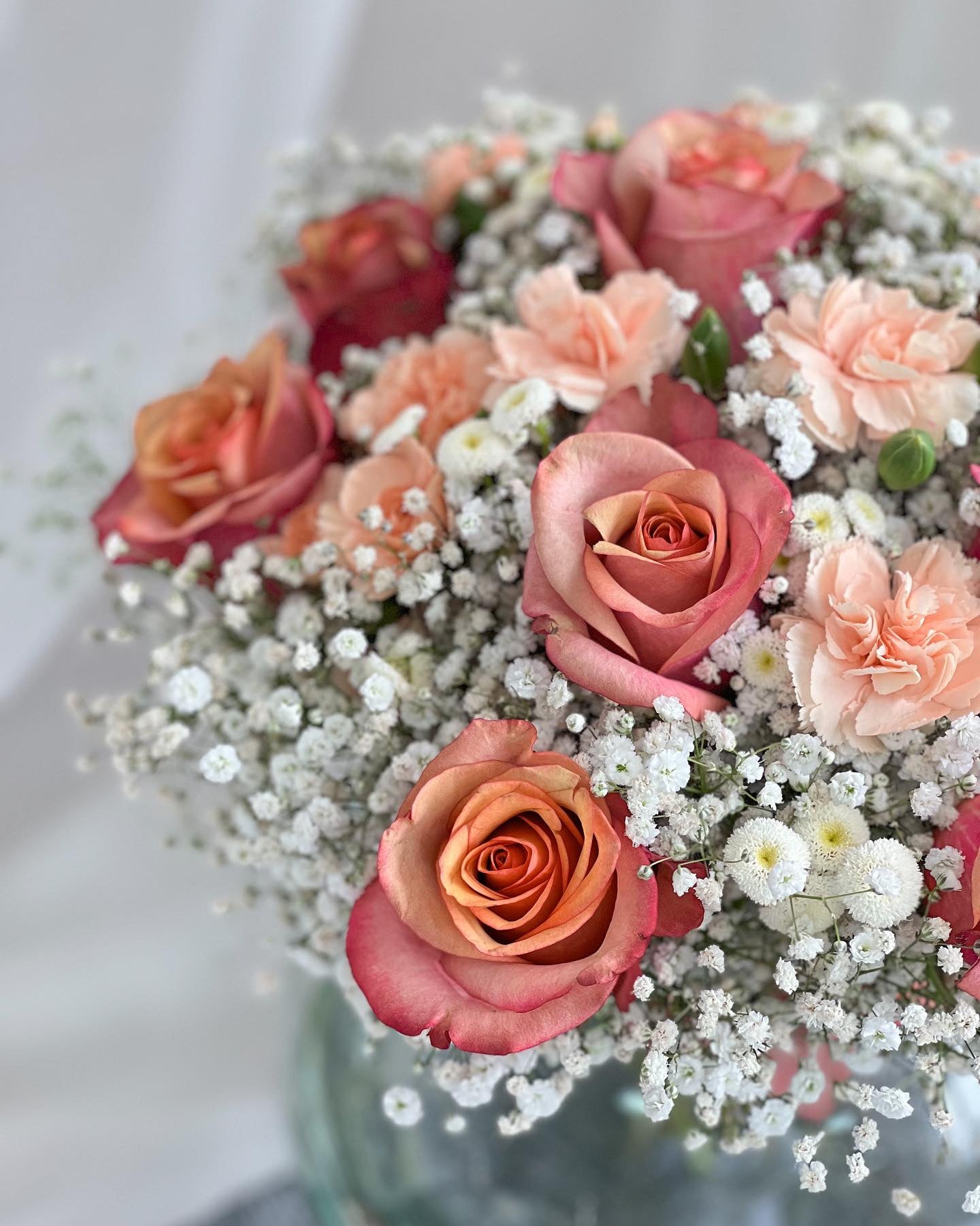 Rosy Glow - Laflora.ae