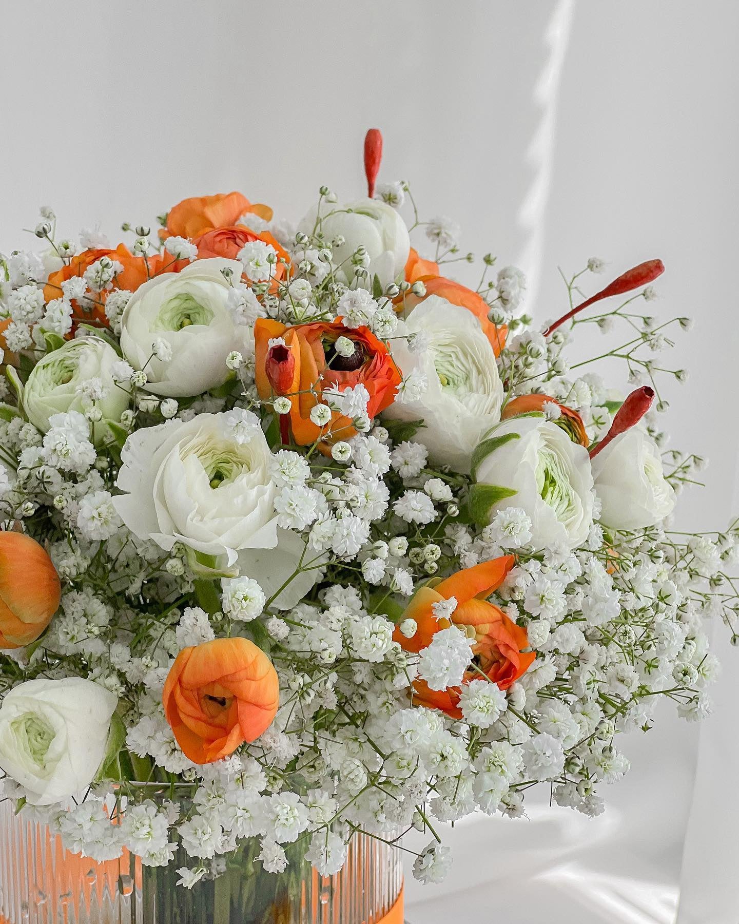 Vibrant Charm - Laflora.ae