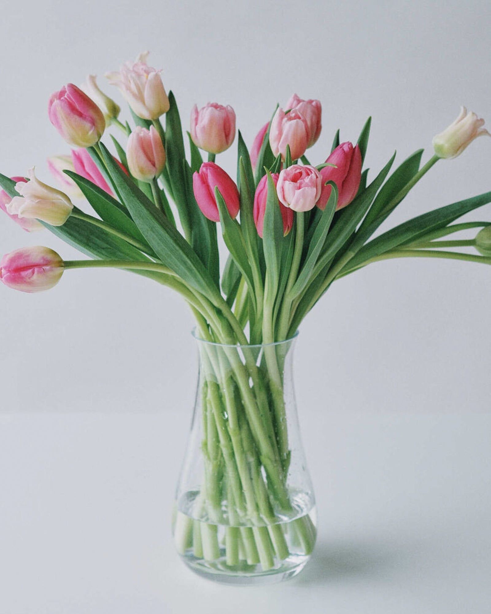 Tulips - Pink Mix (20 Stems) - Laflora.ae