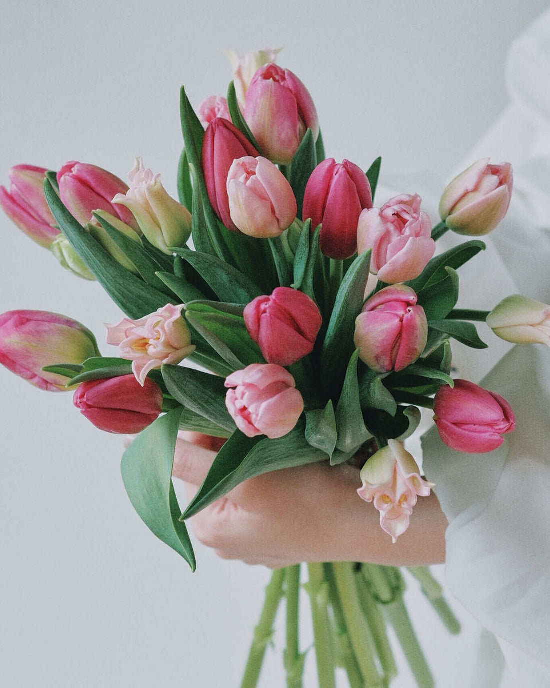 Tulips - Pink Mix (20 Stems) - Laflora.ae