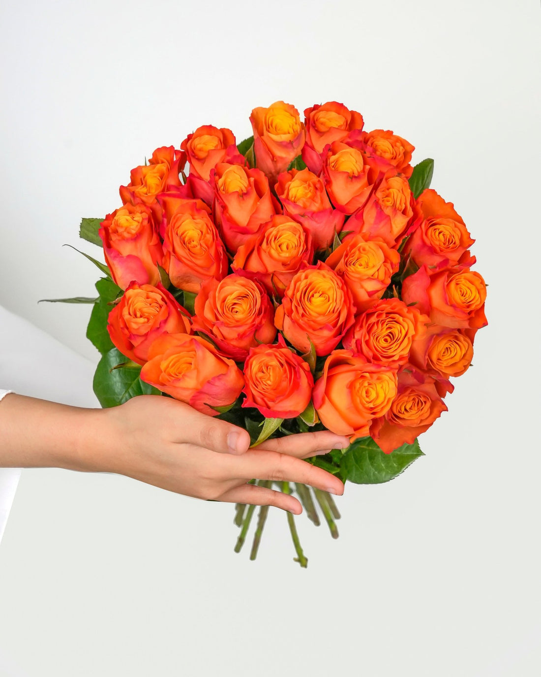 Orange Rose - Confidential - Laflora.ae