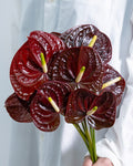 Anthurium - Tropic Night (5 Stems) - Laflora.ae